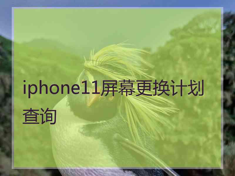 iphone11屏幕更换计划查询