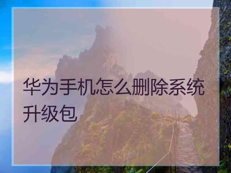 华为手机怎么删除系统升级包