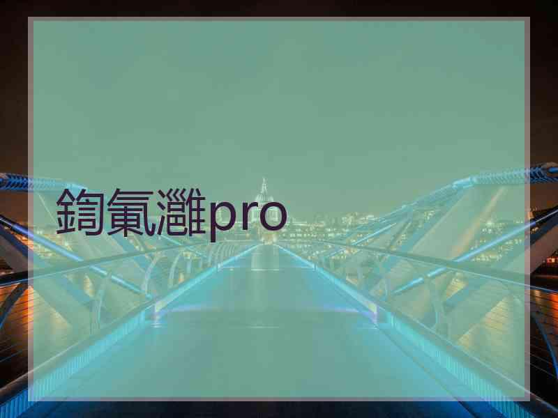 鍧氭灉pro