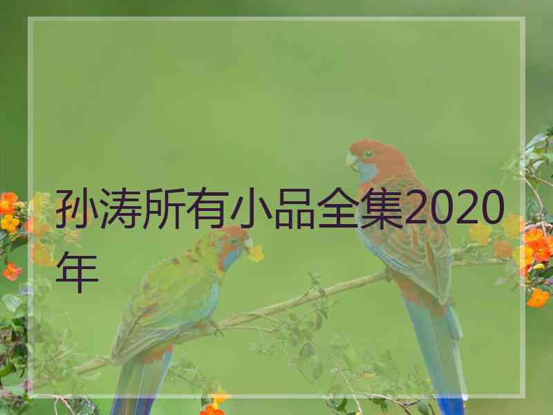 孙涛所有小品全集2020年