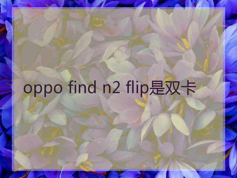 oppo find n2 flip是双卡