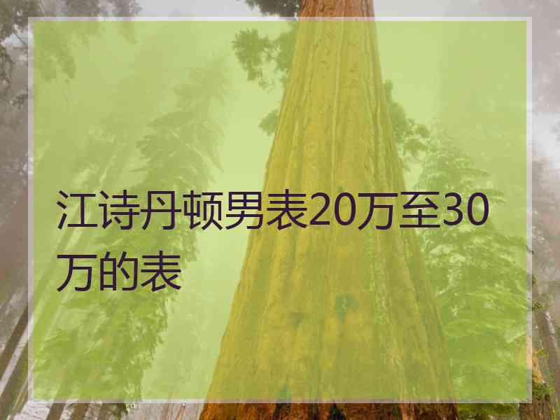 江诗丹顿男表20万至30万的表