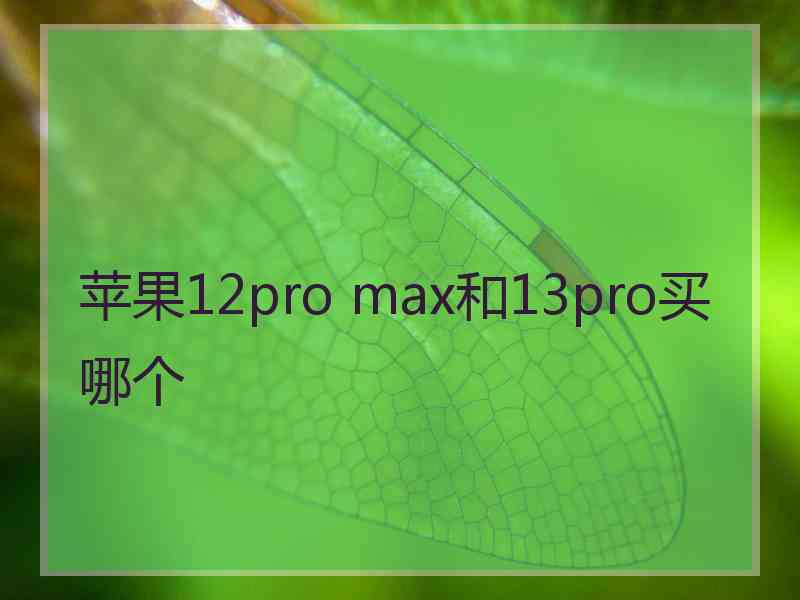 苹果12pro max和13pro买哪个