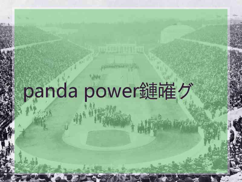 panda power鏈嶉グ