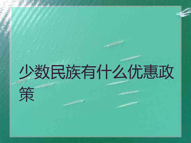 少数民族有什么优惠政策