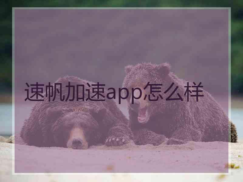 速帆加速app怎么样