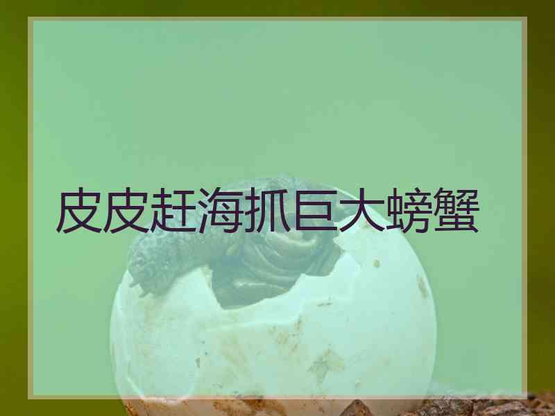 皮皮赶海抓巨大螃蟹