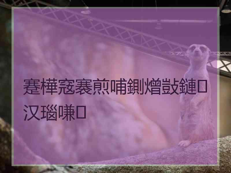 蹇樺窛褰煎哺鍘熷敱鏈汉瑙嗛