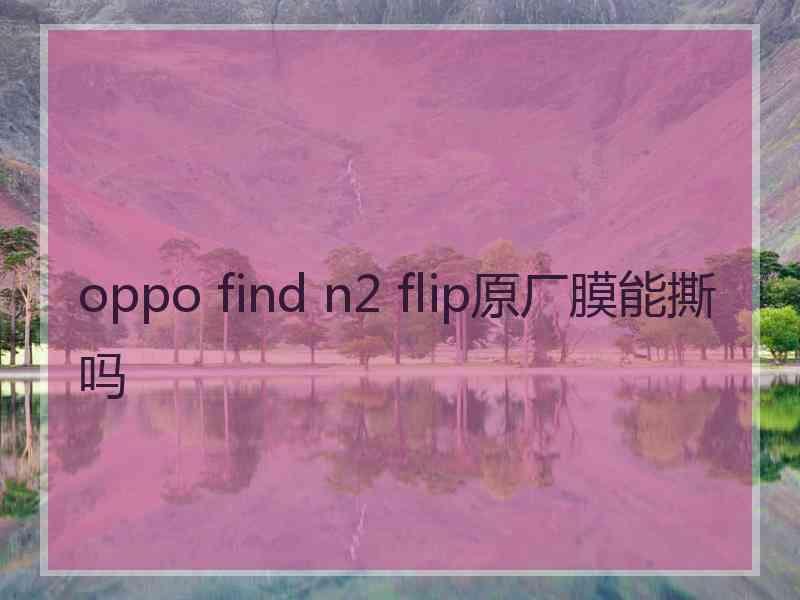 oppo find n2 flip原厂膜能撕吗