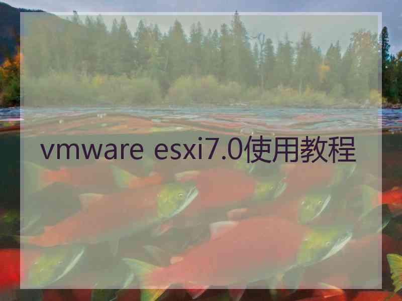 vmware esxi7.0使用教程