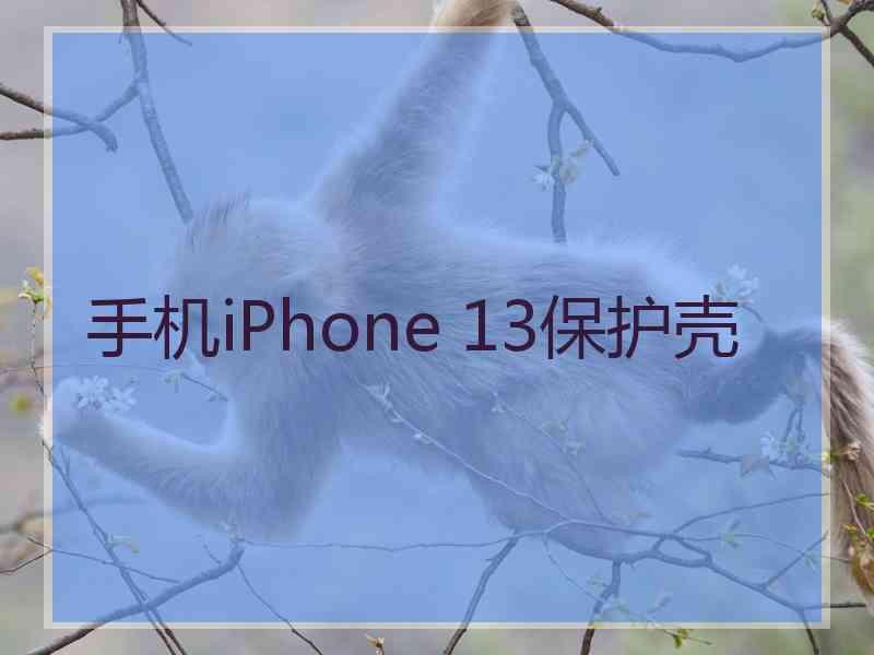 手机iPhone 13保护壳