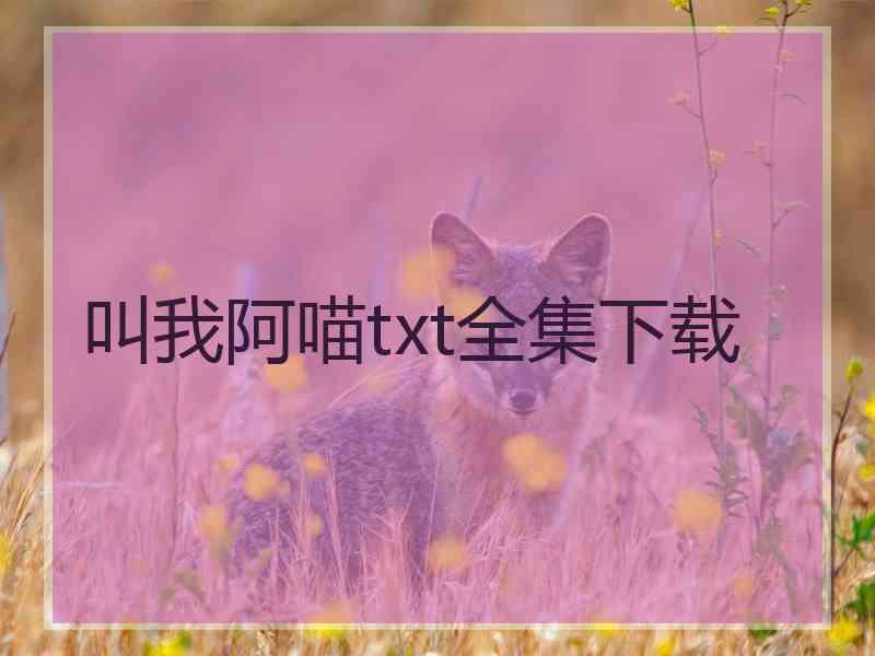 叫我阿喵txt全集下载