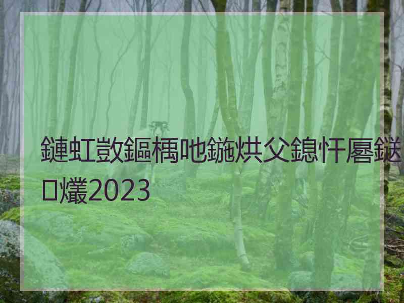 鏈虹敳鏂楀吔鍦烘父鎴忓厬鎹㈢爜2023