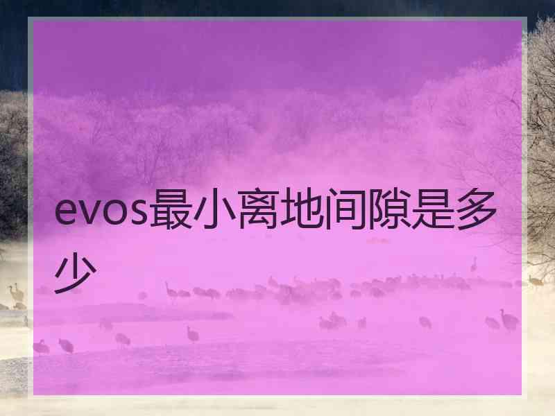 evos最小离地间隙是多少