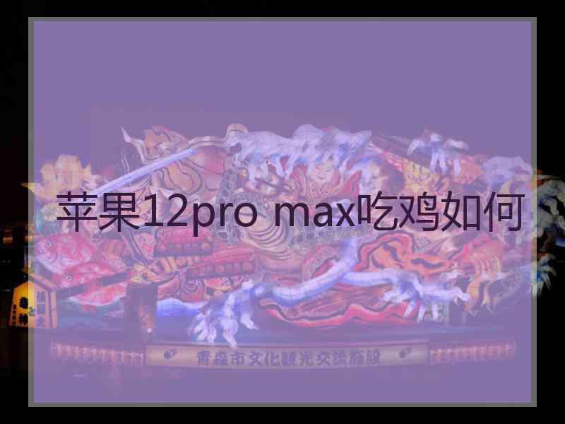 苹果12pro max吃鸡如何