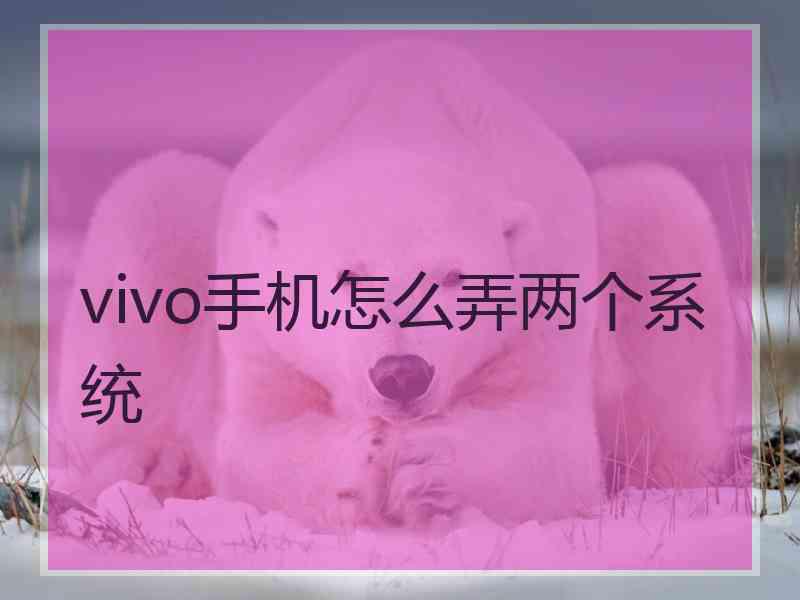 vivo手机怎么弄两个系统