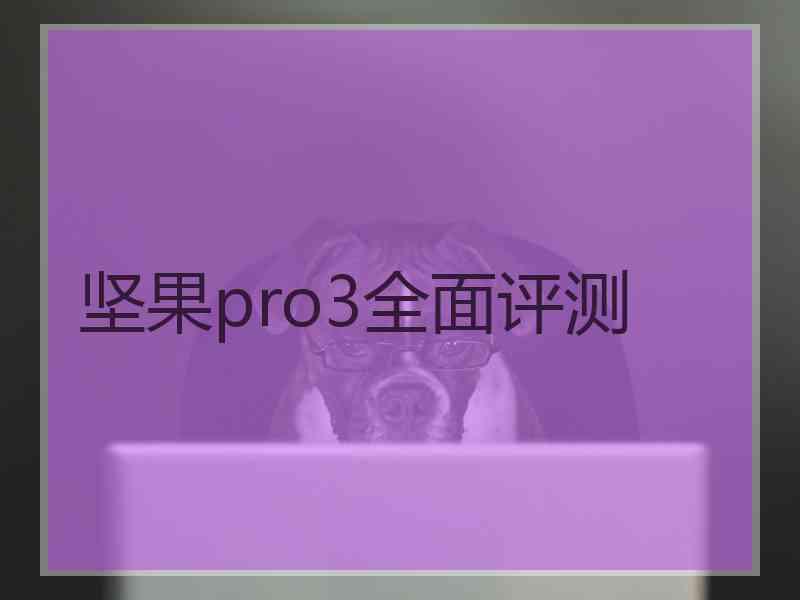 坚果pro3全面评测