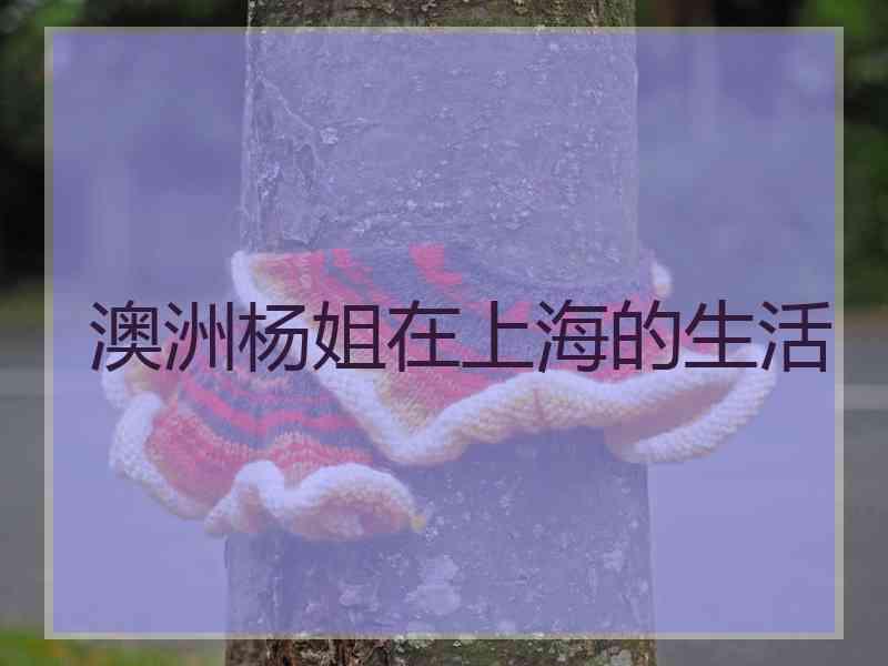 澳洲杨姐在上海的生活