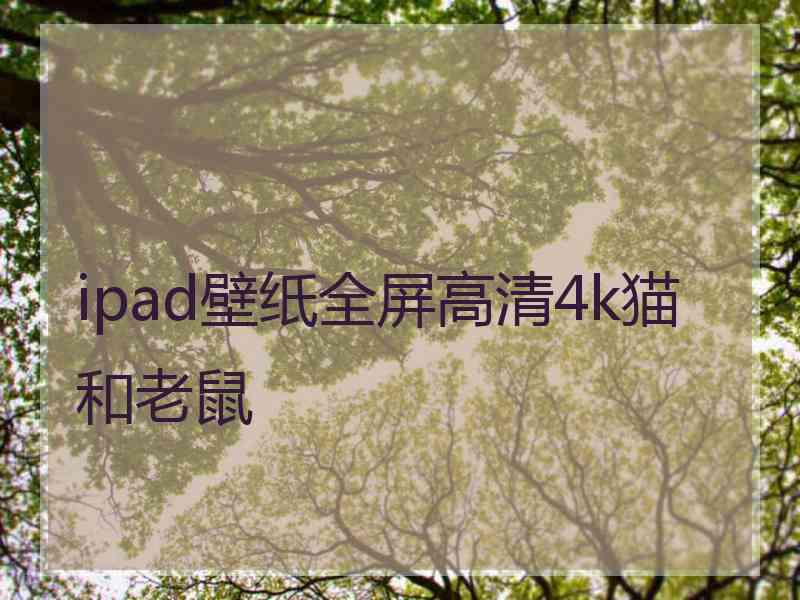 ipad壁纸全屏高清4k猫和老鼠