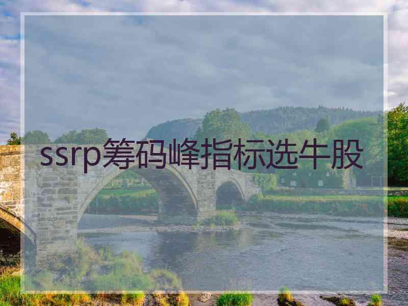 ssrp筹码峰指标选牛股