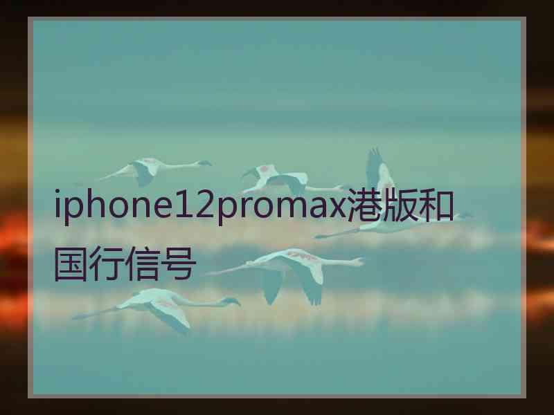 iphone12promax港版和国行信号