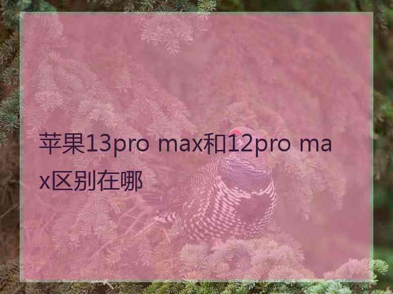 苹果13pro max和12pro max区别在哪