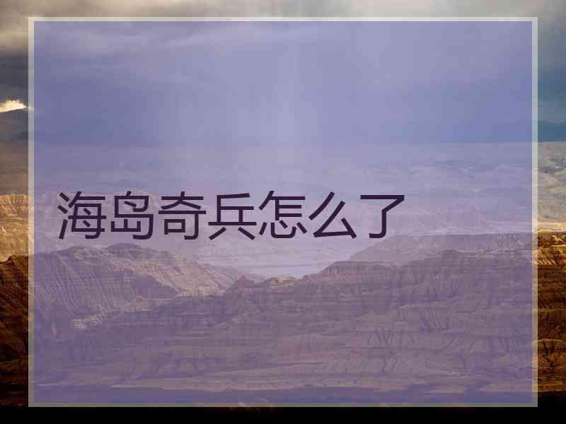 海岛奇兵怎么了