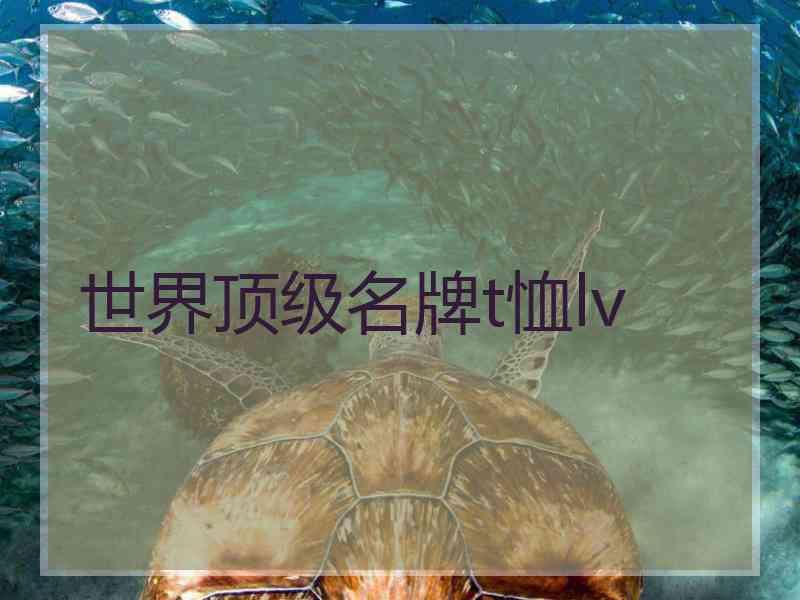 世界顶级名牌t恤lv