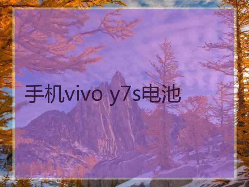 手机vivo y7s电池