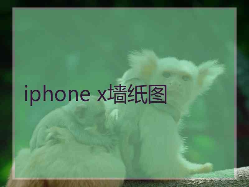 iphone x墙纸图