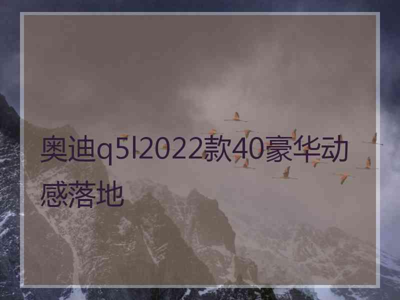 奥迪q5l2022款40豪华动感落地