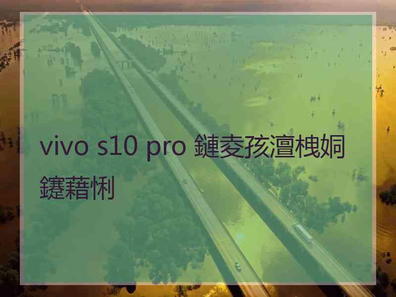 vivo s10 pro 鏈夌孩澶栧姛鑳藉悧