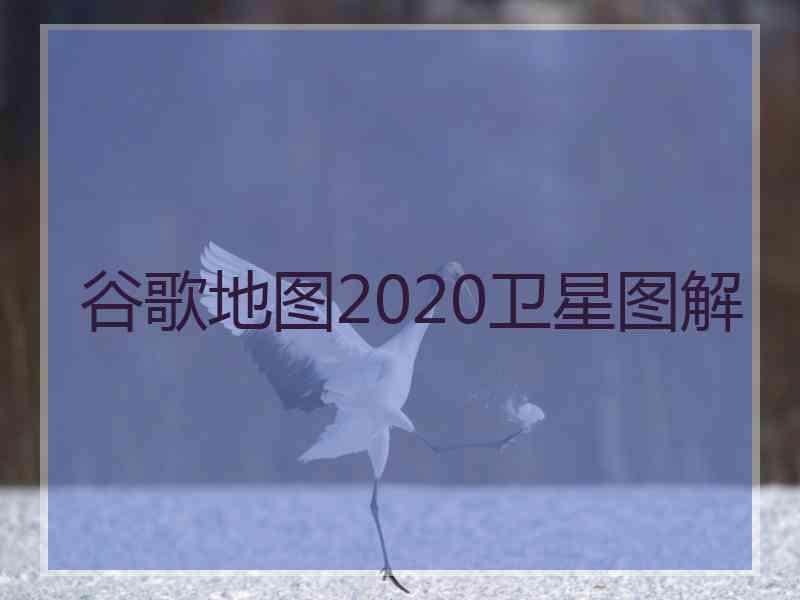 谷歌地图2020卫星图解