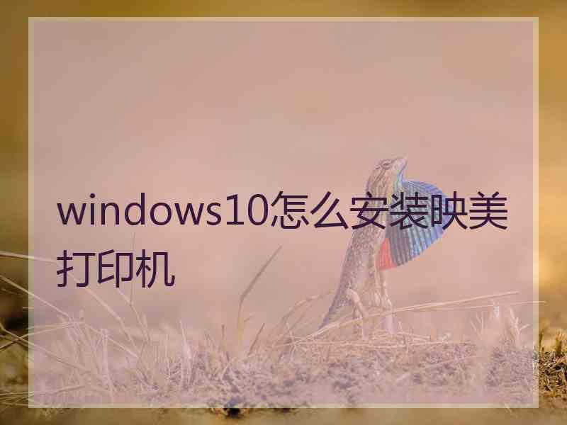 windows10怎么安装映美打印机