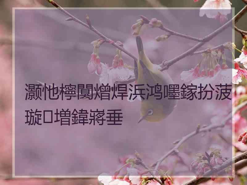 灏忚檸闃熷焊浜鸿嚜鎵扮菠璇増鍏嶈垂