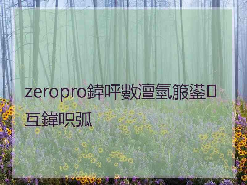 zeropro鍏呯數澶氫箙鍙互鍏呮弧