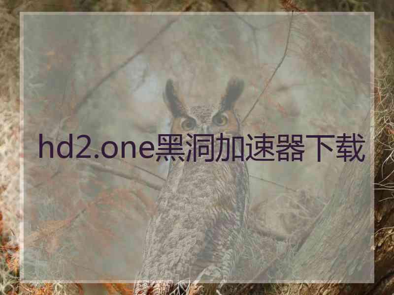 hd2.one黑洞加速器下载