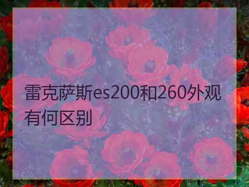 雷克萨斯es200和260外观有何区别