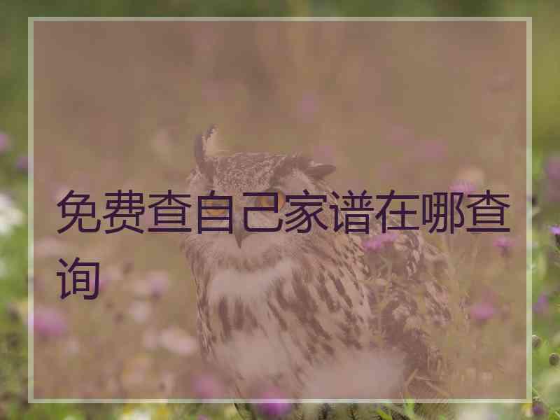 免费查自己家谱在哪查询