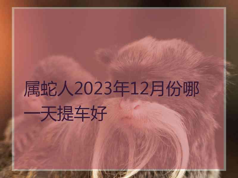 属蛇人2023年12月份哪一天提车好