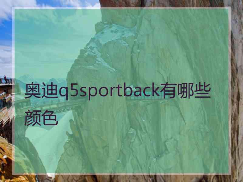 奥迪q5sportback有哪些颜色