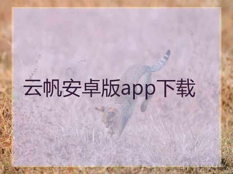 云帆安卓版app下载