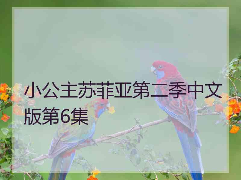 小公主苏菲亚第二季中文版第6集