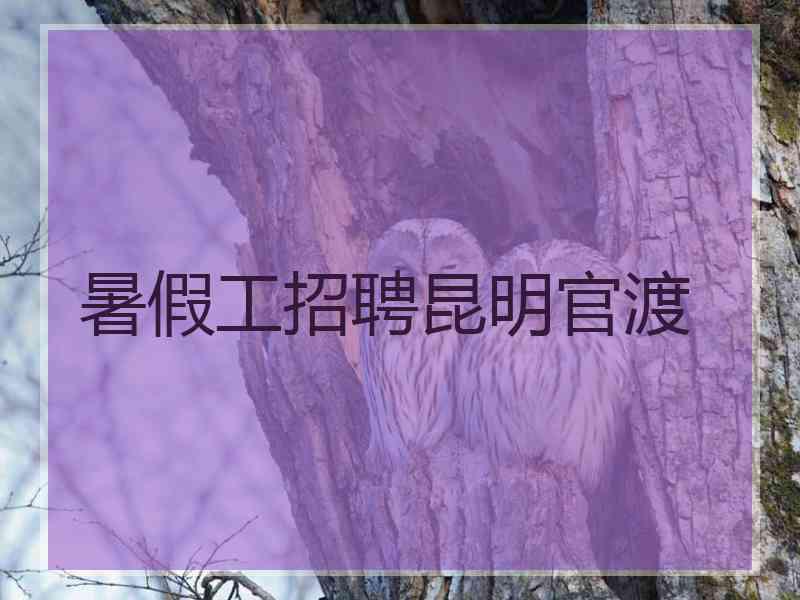 暑假工招聘昆明官渡