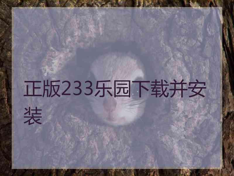 正版233乐园下载并安装