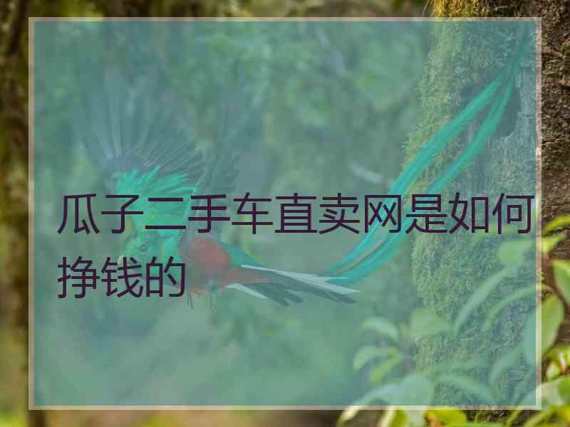 瓜子二手车直卖网是如何挣钱的