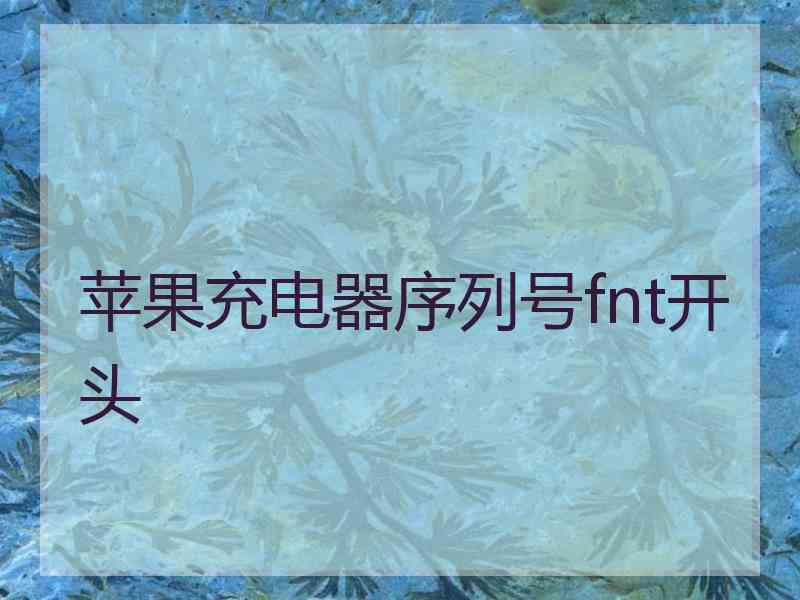 苹果充电器序列号fnt开头