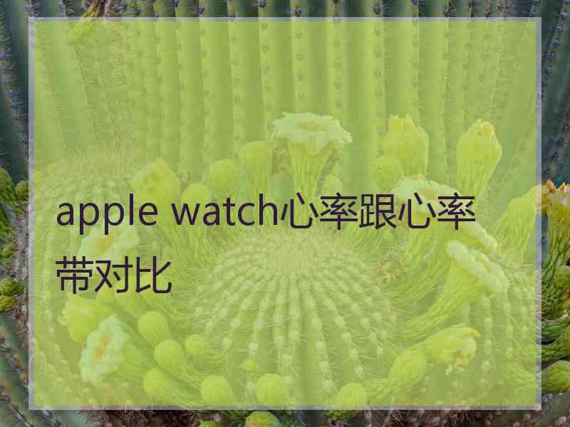 apple watch心率跟心率带对比