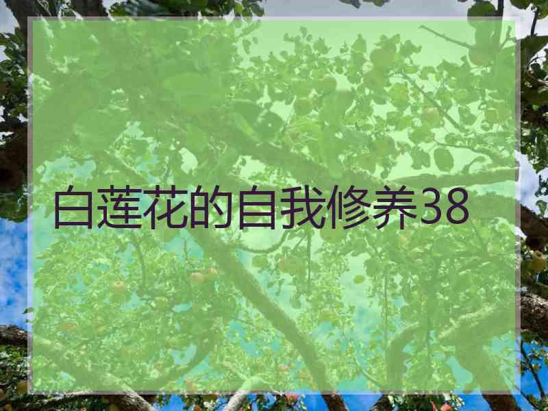 白莲花的自我修养38