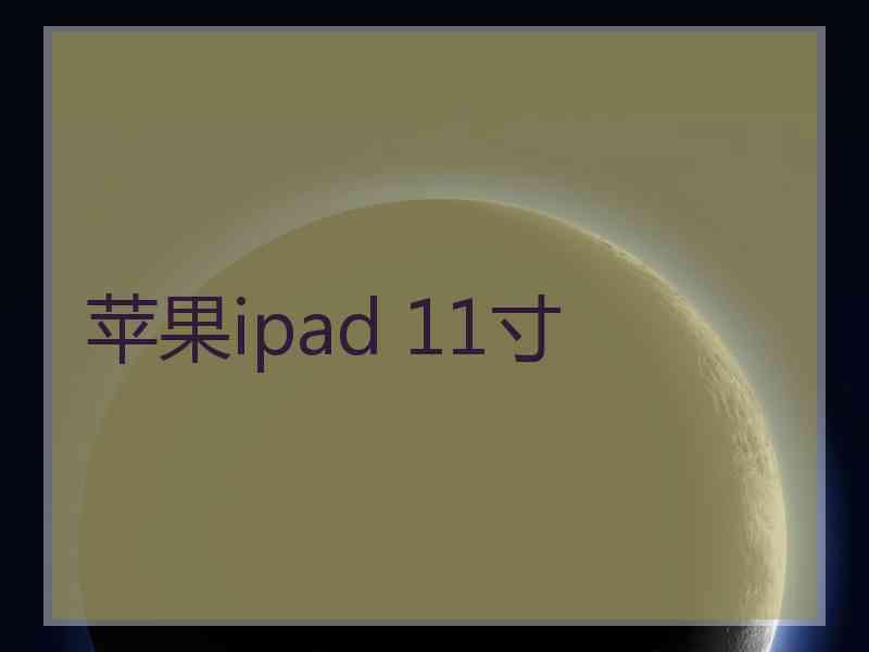 苹果ipad 11寸